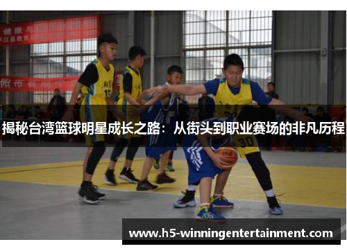 揭秘台湾篮球明星成长之路：从街头到职业赛场的非凡历程